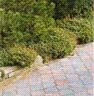 Плитка тротуарная Плитка тротуарная