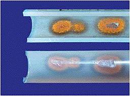 Труба Thermotech Midi Composite Труба Thermotech Midi Composite