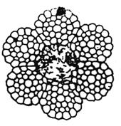 ПБ 10- 14-92 (с изм. 1 1998) ПБ 10- 14-92 (с изм. 1 1998)
