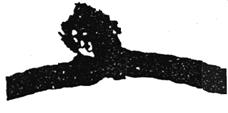ПБ 10- 14-92 (с изм. 1 1998) ПБ 10- 14-92 (с изм. 1 1998)