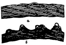 pb_10-257-98 pb_10-257-98