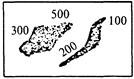 СП 13-101-99 СП 13-101-99