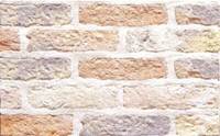 Камень искусственный облицовочный Eurokam Anticbrick Камень искусственный облицовочный Eurokam Anticbrick