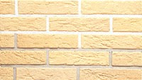 Камень искусственный облицовочный Eurokam Slimbrick Камень искусственный облицовочный Eurokam Slimbrick